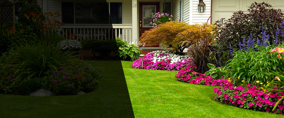 Woodlawn Landscapers